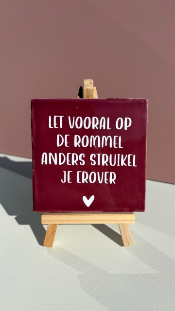 Let vooral op de rommel