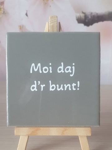 Moj daj dr bunt grijs