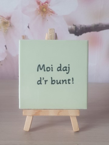 Moj daj dr bunt licht groen