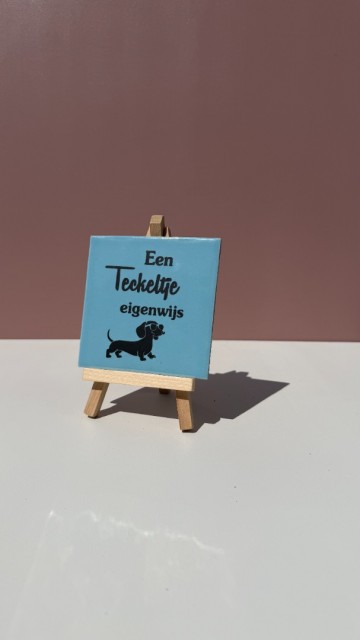 Teckeltje eigenwijs blauw